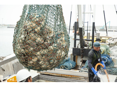 【物価高に挑む決断】北海道興部町（おこっぺちょう）、大人気「ホタテ玉冷」のふるさと納税寄附金額を12月1日より緊急引き下げ！