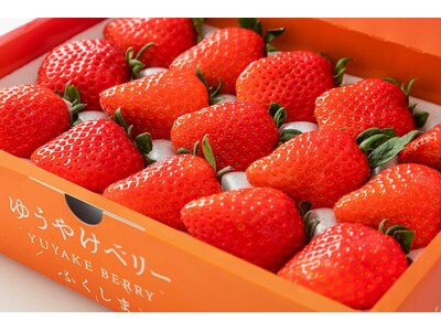 福島の新しいいちご「ゆうやけベリー」1月10日(土)から日本橋ふくしま館MIDETTEでフェア開催！