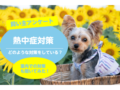 【愛犬の熱中症対策に関するアンケート調査】飼い主138名を調査