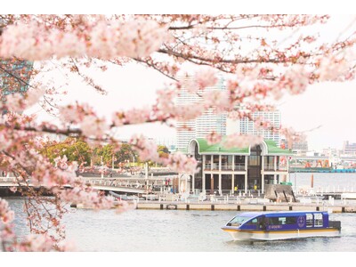 船窓から優雅に桜観賞 桜クルーズ＆ホテルレストランでのお食事セットプラン