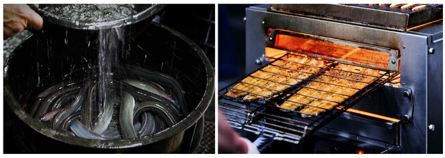 【近鉄百貨店】価格据え置きで美味しさをグレードアップ。「うなぎ屋 ハレルヒ」が、浜名湖の新ブランドうなぎ「でしこ」へ全量切り替え！