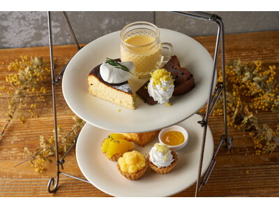 【食堂カフェpotto】3月8日国際女性デーに“ミモザのご褒美”。農業女子PJ×食堂カフェpottoで期間限定フェアを大阪4店舗で開催（3/1～3/20）