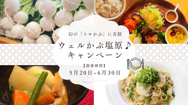 【那須塩原ブランド】幻の「塩原かぶ」を使った料理が食べられる！ウェルかぶ塩原キャンペーン開催のお知らせ