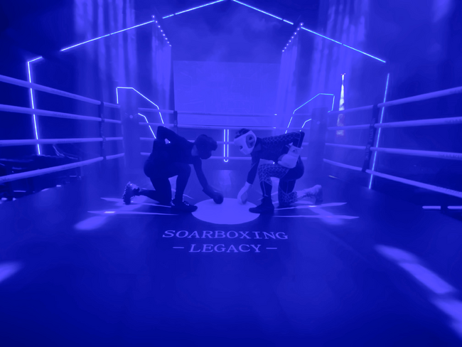 {NVOOt^Xy[XaI{NVOCxgȊO̗prɂΉ\