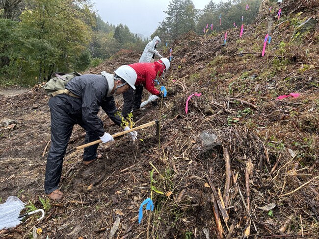 「森づくり」を通じて都市と森林をつなぐ。岐阜・飛騨高山で「Present Tree」植樹ツアーを開催