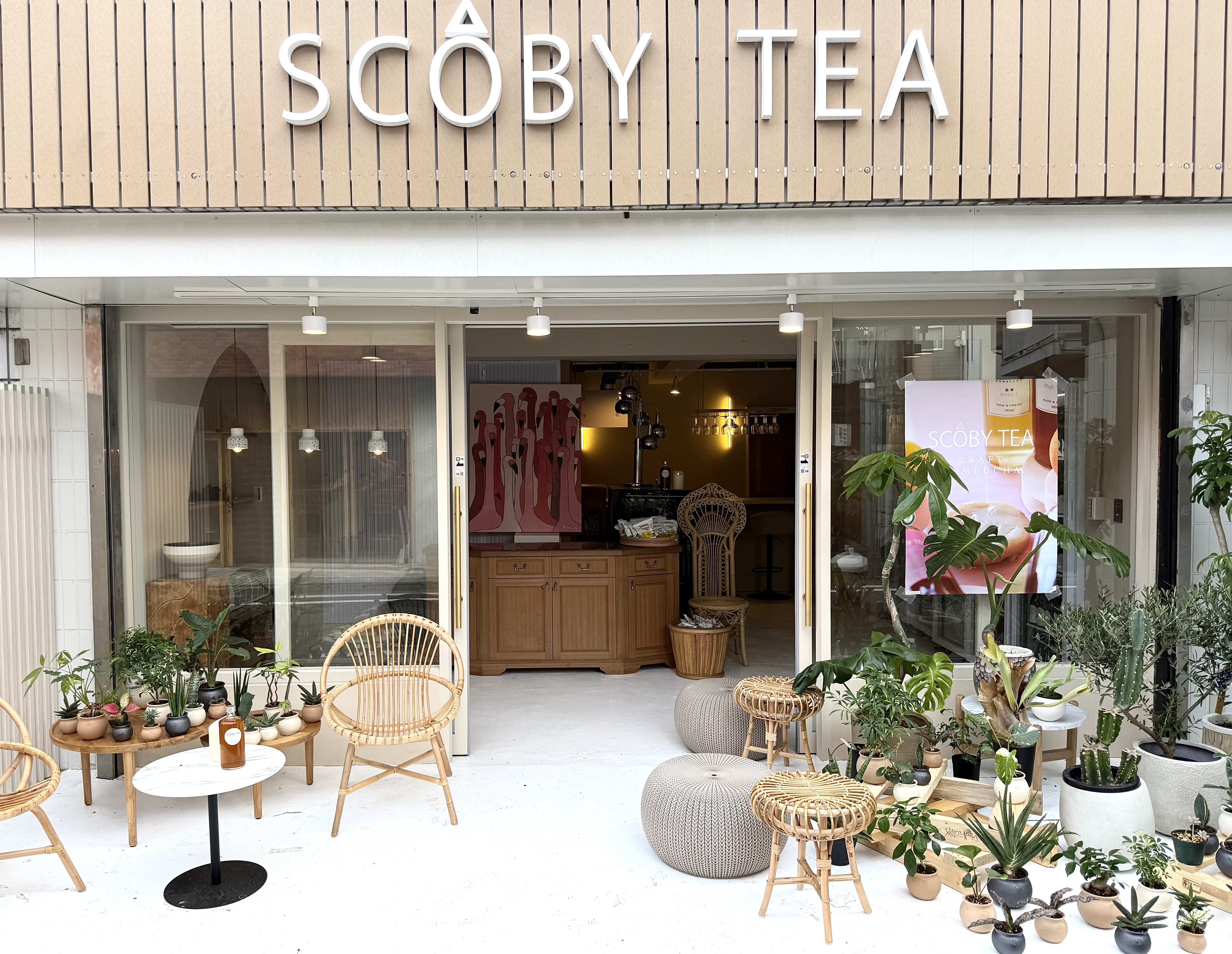7月5日(土) 新たな発酵の体験の場が誕生！「クラフトコンブチャ SCOBY TEA」 フラッグシップストアが世田谷・駒沢にニューオープン