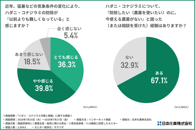 猛暑でハダニ・コナジラミが劇増…！約7割が「収穫直前に使える農薬がない」と回答！現場が抱える回数制限とコストの壁、解消のカギは「高希釈の気門封鎖剤」？