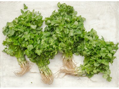 【2倍～4倍まで増量無料！】毎週金曜日は「パクチーの日🌿」バインミー専門店『TOKYO BANH MI ...