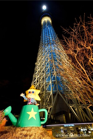 ８月24日「ラグビーの日」にパブリックビューイングで女子ラグビーワールドカップ日本代表戦を応援しよう!!