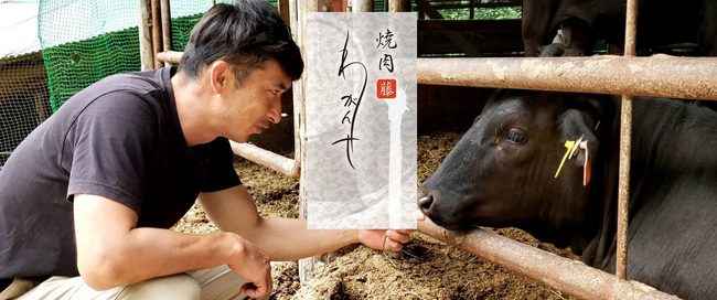 葉山町制100周年＆厚木市制70周年記念！幻の葉山牛を贅沢に使用した記念盛り＆食べ放題を期間限定で提供