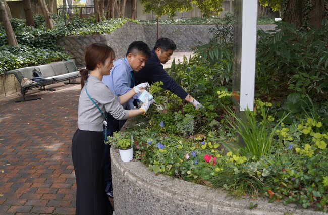 日比谷公園でのSynecocultureTM 春の植栽実施のお知らせ