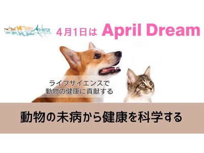 ���a�̒i�K����̎������������œ����̌��N���������΂��I#April Dream