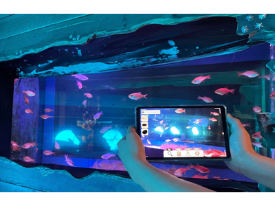 【南知多ビーチランド】さがして みつけて つかまえる！AI×水族館探検型ゲーム「サカナクエスト」を9月5...