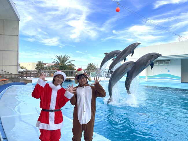 【南知多ビーチランド＆南知多おもちゃ王国】キラキラ輝くおさかなとイルミネーション！初開催！「きらめくおさかな展」＜愛知＞