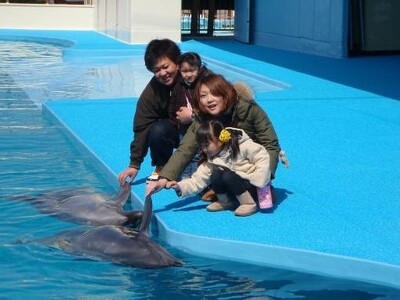 【南知多ビーチランド】12月31日は希望者全員がイルカと握手！大晦日限定の特別イベントを開催＜愛知＞