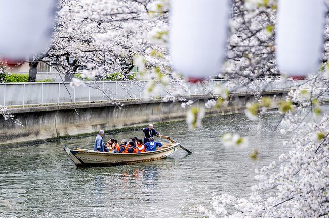プレスリリース「水辺の桜に大接近　【取材用の臨時便運行】　第22回 お江戸深川さくらまつり　和船、動力船、カヌーで味わう江戸風情 3月20日(金・祝)より「水上花見」開催」のイメージ画像