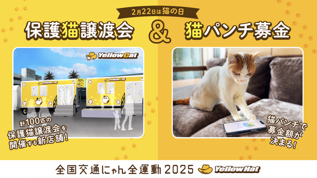 【2月22日は猫の日】イエローハットが猫を交通事故から守る「全国交通にゃん全運動 」キャンペーンを実施！今年は保護猫約100匹を集めた譲渡会「イエローキャット」を2月20日から3日間限定でOPEN