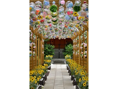 夏の新たな風物詩！？【木枠回廊の『クリアボール』】　清涼感を感じさせる装飾＜入園料無料＞　　公園墓地青葉園（さいたま市）