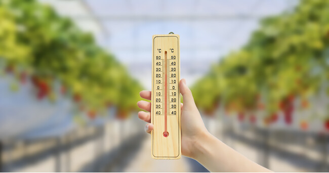 施設園芸の高温被害、約7割が繰り返し影響 ―【暑熱対策に関する実態調査】