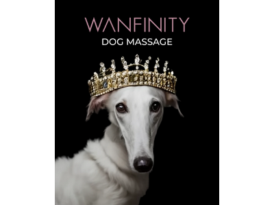 上質なドッグマッサージを提供するWanfinity、飼い主様向けドッグマッサージレッスンを開催