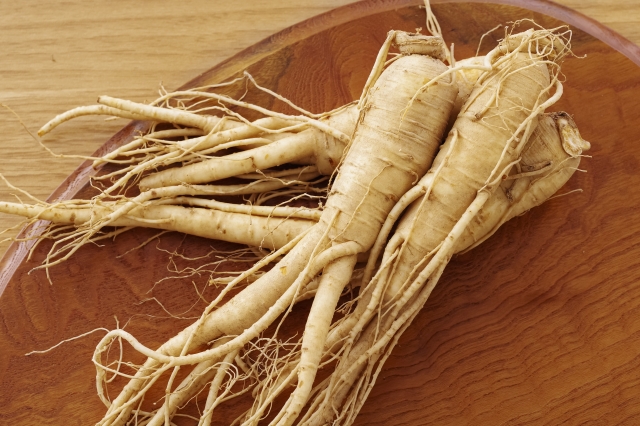 植物工場での高麗人参を行う株式会社YD-Plants、株式投資型クラウドファンディングを実施します