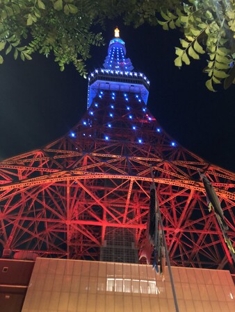 プレスリリース「【世界自閉症啓発デー】ライトアップされた東京タワーに、300人が参加」のイメージ画像