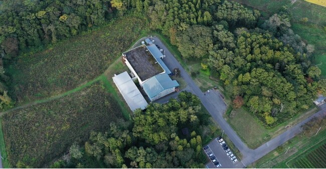 信濃町オフィスを囲む「サンクゼールの森」が地域生物多様性増進法に基づく『自然共生サイト』に認定