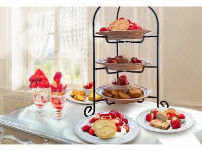 「いちごフェアは、物語からつくる」大阪ローカルカフェ『ぱんのいえ』ミニ絵本付きアフタヌーンティー含むスイーツ5種を3月4日より発売