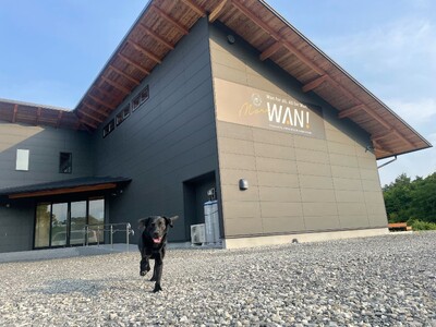 【週末のお出かけに！】愛犬と一緒に楽しみながら学べる「MOREWAN交流会」を開催