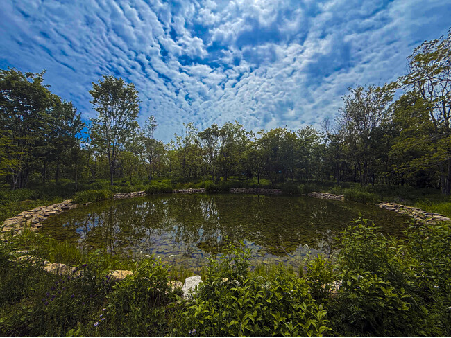 プレスリリース「万博の理念を未来へ継承すべく 閉幕後の活用を見据え「静けさの森 共鳴機構（FoR）」設立とテーマウィークプログラム「共鳴と森-突き破る塔(1970)から開かれる空(2025)へ」開催のお知らせ」のイメージ画像