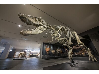 丹波竜化石工房 から「たんば恐竜博物館」へ！７月12日（土）にリニューアルオープンしました!!