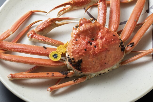 【川崎重工グループのヘリコプター手配サービス Z-Leg(TM)】　　　　「チャーター機で行く、空から味わう冬の贅沢」