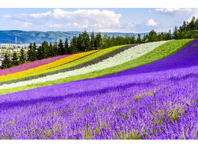 【川崎重工グループ ヘリコプター手配サービス Z-Leg(TM)︎】 　　　　　ラグジュアリー・スカイ・...