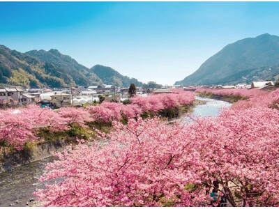 【川崎重工グループ ヘリコプター手配サービス Z-Leg(TM)︎】 　　　　ヘリで行く「伊豆四季彩旅！」