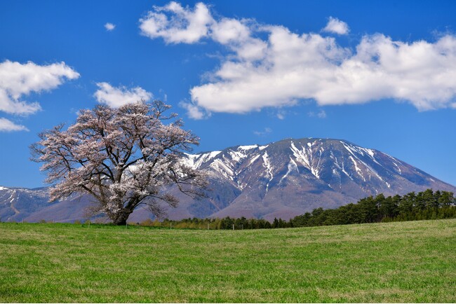 【川崎重工グループ ヘリコプター手配サービス Z-Leg(TM)︎】ヘリコプターで行く、八幡平・安比高原！