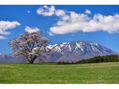 【川崎重工グループ ヘリコプター手配サービス Z-Leg(TM)︎】ヘリコプターで行く、八幡平・安比高原！