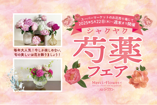 旬の花をカジュアルに飾ろう！『芍薬フェア』スーパーマーケットのお花売り場にて 2025年5月22日（木）から開催！