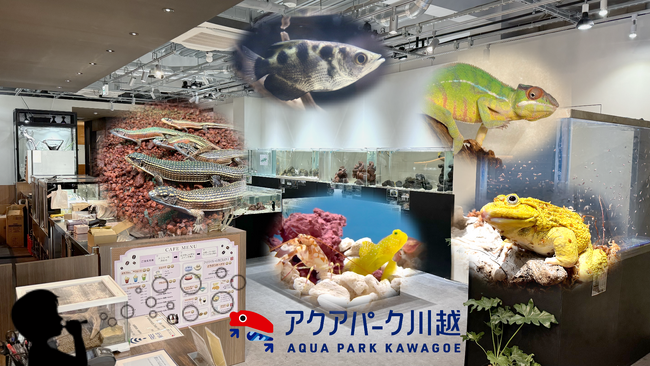 海のない埼玉で“黒潮の海”と出会える！魚も爬虫類も共存する新感覚の水族館が川越に誕生、100種1万匹以上の生き物とふれあえる新感覚施設
