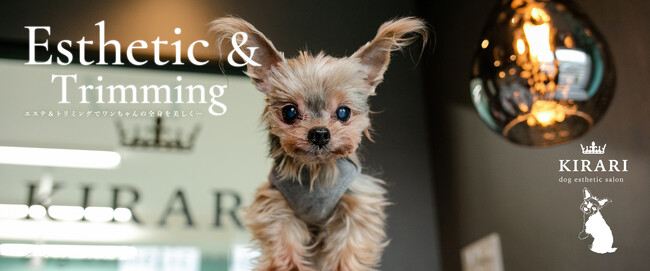 プレスリリース「【愛犬のための極上体験】10万円VIPトリミングがついに解禁！ 「うちの子は、ただの犬じゃない。」そんなあなたへ――。」のイメージ画像