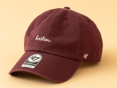 �y�f47�i�t�H�[�e�B�[�Z�u���j�z��ԃV���G�b�g�uCLEAN UP�v���菑�������ŃA�����J�̓s�s��������������V��L���b�v���o��