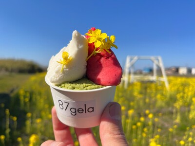 愛犬と楽しむ「お花ジェラート」体験。滋賀・東近江の食用花農園直営店「87gela」が1周年リニューアル、...