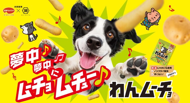 【愛犬用】日本ペットフード×湖池屋共同開発『わんムーチョ』3/2新発売