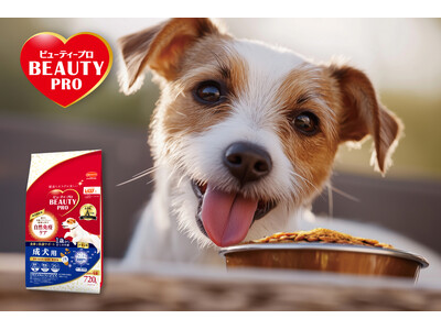 �y�����p�z�J���_�Ɂu�͂�����v���Ƃɂ���������w�r���[�e�B�[�v�� �h�b�O�x����A���^���ɂ҂�����ȐV�T�C�Y���V�o��I