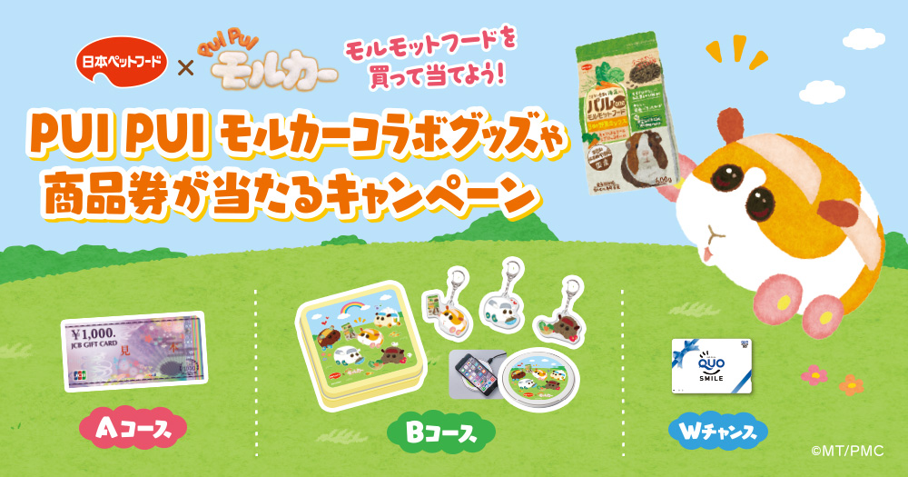 PUI PUI モルカー×日本ペットフード コラボキャンペーン！モルモットフードを買って《モル缶》を当てよう！