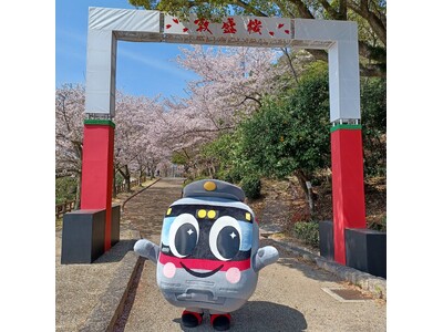 『海と桜の絶景陽桜』『関西最大級のエンタメ夜桜』昼も夜も楽しめる須磨の桜のイベント「敦盛桜2026」を3...