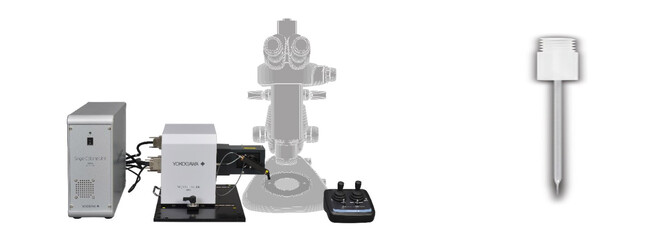 【横河電機】外来遺伝子を一切使わない植物のゲノム編集の実験に成功