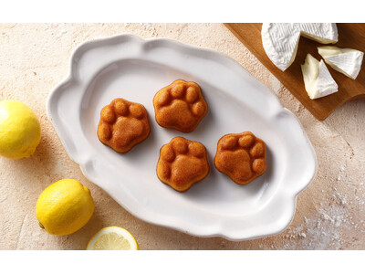 【アトレ吉祥寺催事出店情報】ネコがつくる絶品スイーツブランド、チーズと森の果実が奏でるハーモニーがコンセ...
