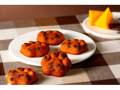 【冬季限定】人気の肉球型フィナンシェに冬限定の新フレーバー。【ネコシェフ】から『フィナンシェ チェダーチーズ＆ショコラ』が登場！