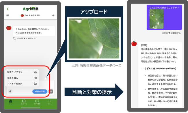 病害虫画像診断が可能に！営農指導員も使う「栽培アシストAI」がさらに進化