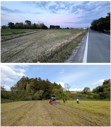 アグロルーデンス、中部電力・楪園芸と連携し、福島県大熊町にてバイオ燃料製造に向けた実証に着手